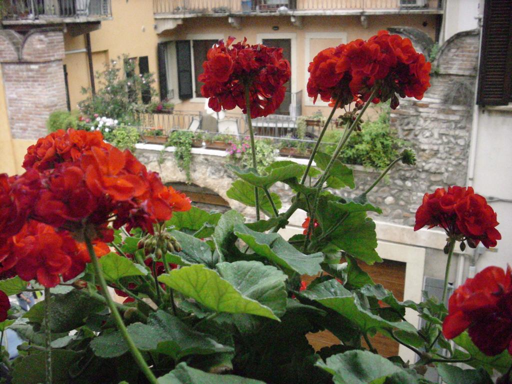 A Casa Di Luca Otel Verona Dış mekan fotoğraf